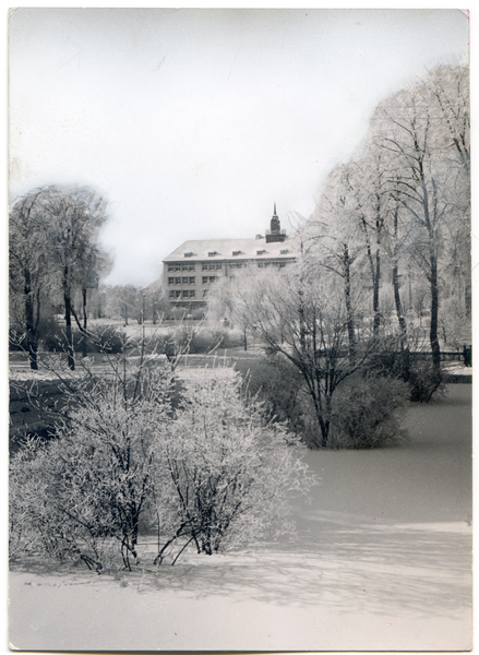 Lötzen, Lutherschule im Rauhreif