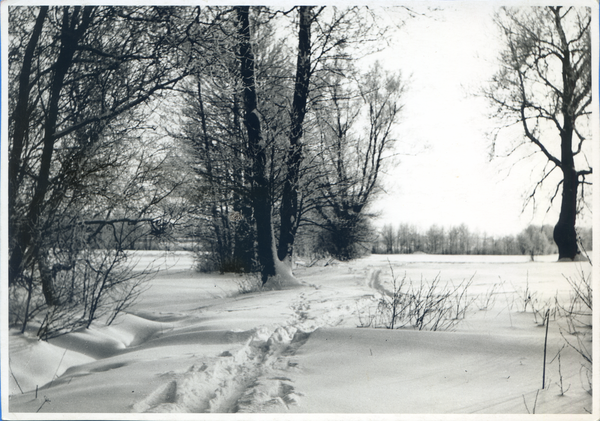 Lötzen, Winterlandschaft