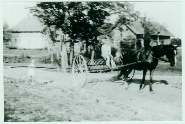 Kauken, Weg zum Bauernhof Perkuhn