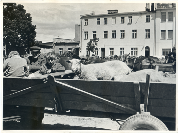 Lötzen, Markttag