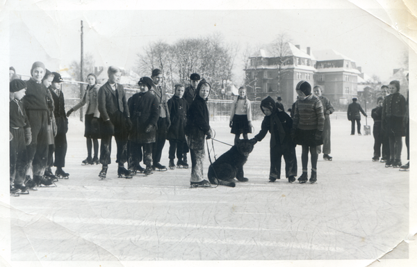 Königsberg (Pr.), Tiergarten, Kinder auf dem Eis mit jungem Löwen