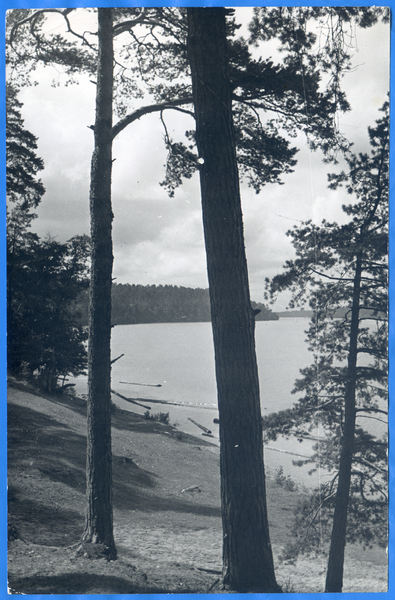 Beldahnsee, Partie am Beldahnsee bei Forsthaus