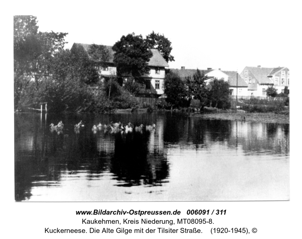 Kuckerneese. Die Alte Gilge mit der Tilsiter Straße