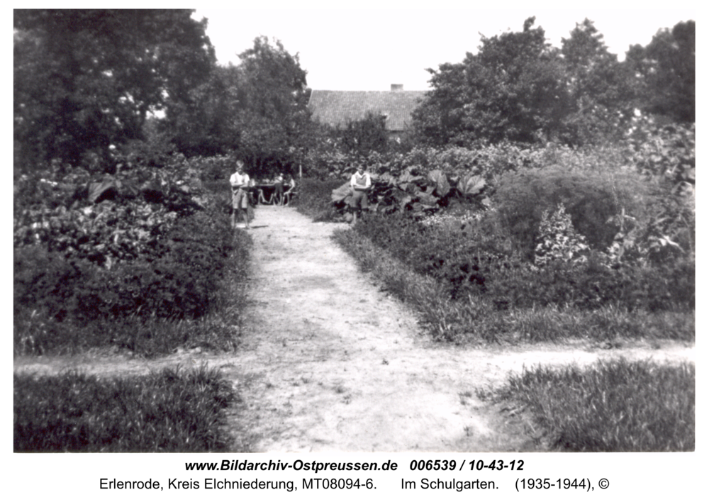 Erlenrode, im Schulgarten