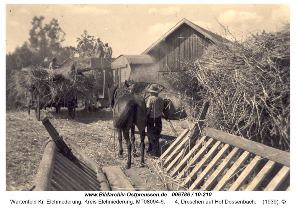 Wartenfeld, 4, Dreschen auf Hof Dossenbach