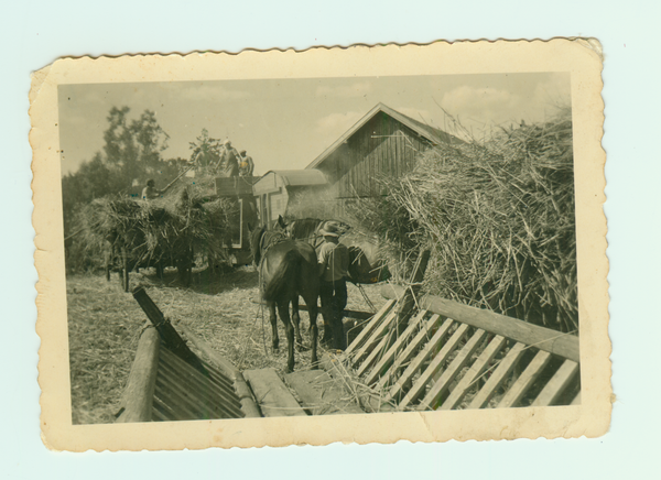 Wartenfeld, 4, Dreschen auf Hof Dossenbach