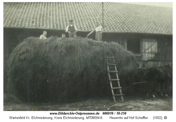 Wartenfeld, Heuernte auf Hof Scheffler