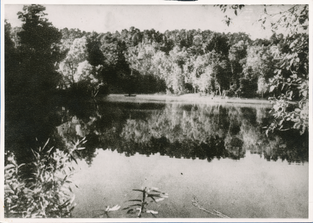 Rauschen Kr. Samland, Mühlenteich ?