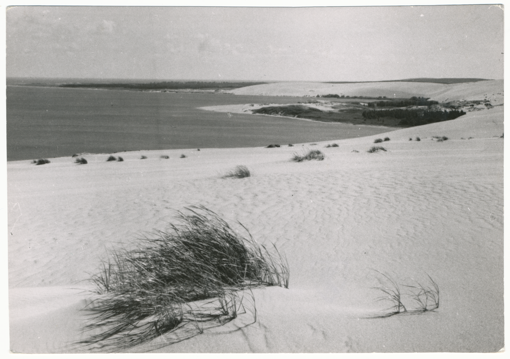 Preil, Dünen an der Kurischen Nehrung