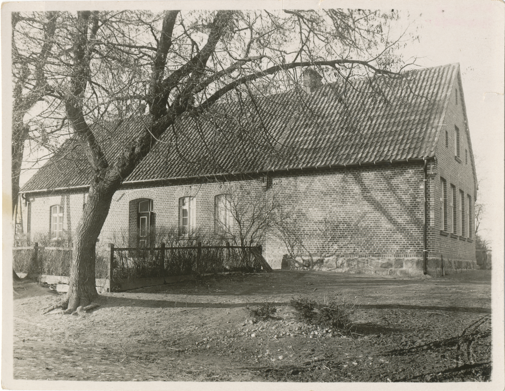 Podangen, Schule