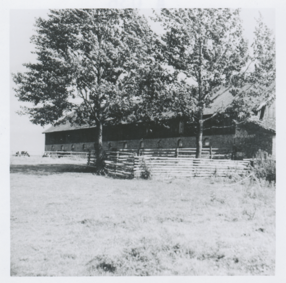 Peterswalde Kr. Heilsberg, Viehstall von Bruno Schwarz