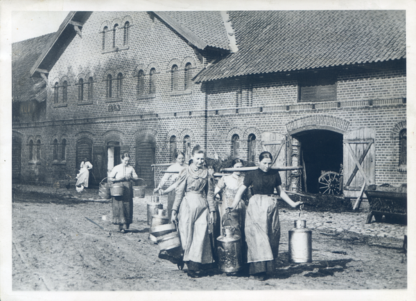 Reichau Kr. Mohrungen, "Melkfrauen" auf dem Weg von der Gutsmeierei zum Kuhstall