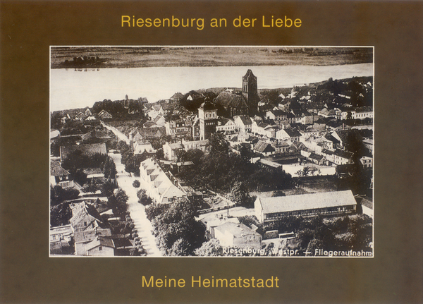 Riesenburg, Blick auf die Stadt, Luftbild