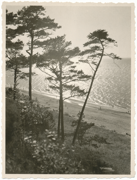 Rauschen, Blick auf den Ostseestrand