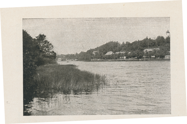 Rauschen Kr. Samland, Partie am Mühlenteich