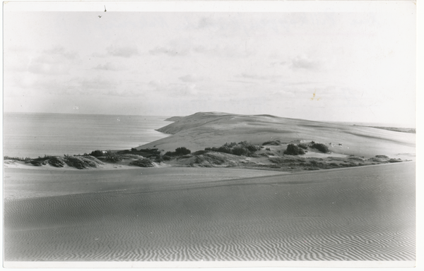 Kurische Nehrung, Wanderdünen bei Pillkoppen,