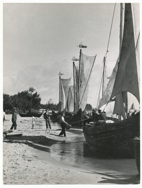 Pillkoppen, Fischerkähne im Hafen,