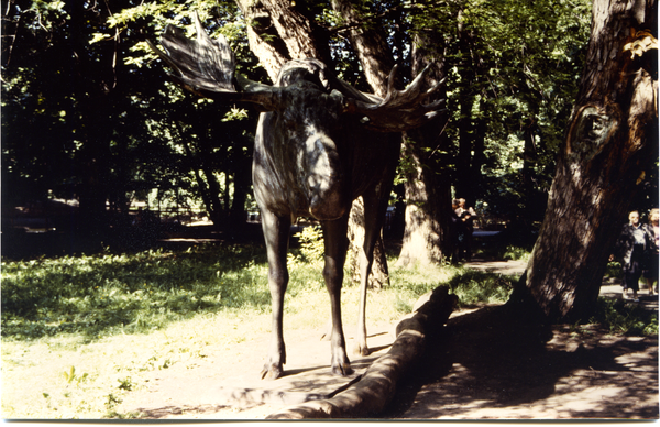 Königsberg (Калининград), Der Tilsiter Elch im Kaliningrader Zoo