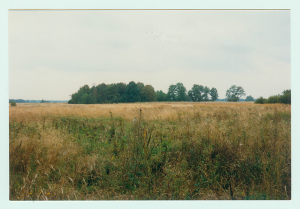 Schneiderin, Blick zum ehemaligen Grundstück Albert Preuß