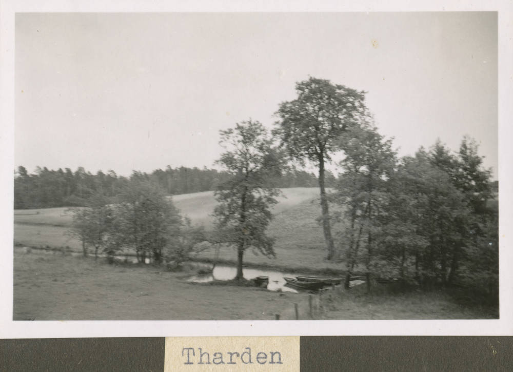 Tharden, Landschaftsbild