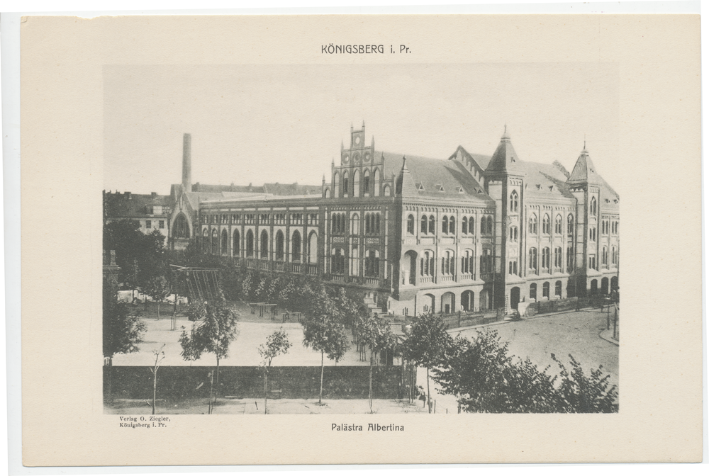 Königsberg (Pr.), Palästra Albertina