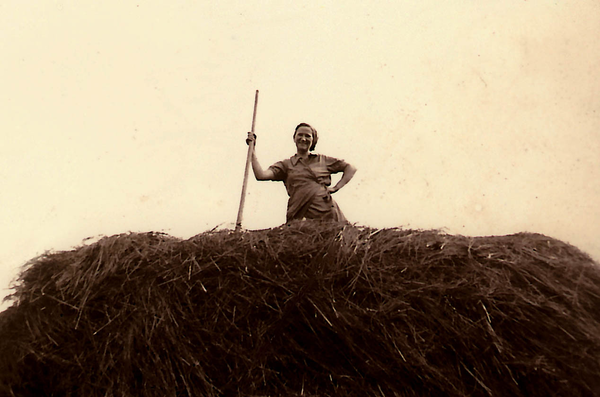 Inse, Maria Szonn bei der Heuernte