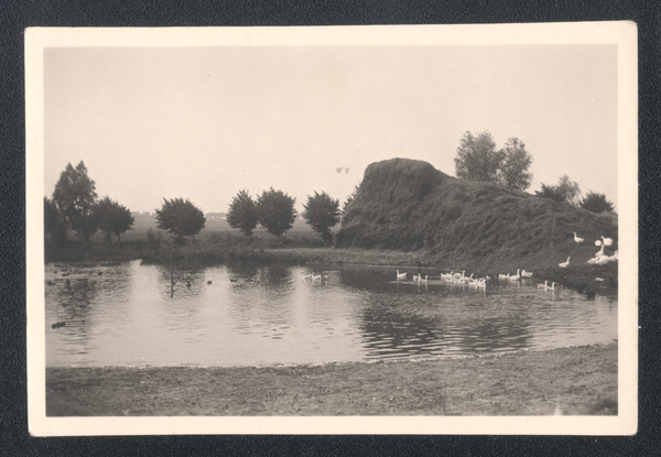 Popehnen, Hofteich mit Gänsen