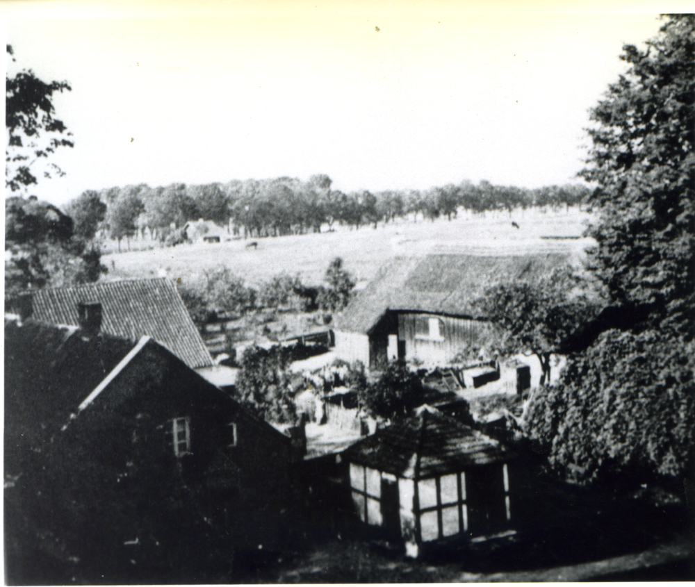 Arnau Kr. Samland, Katharinenkirche, Blick vom Kirchturm auf Arnau