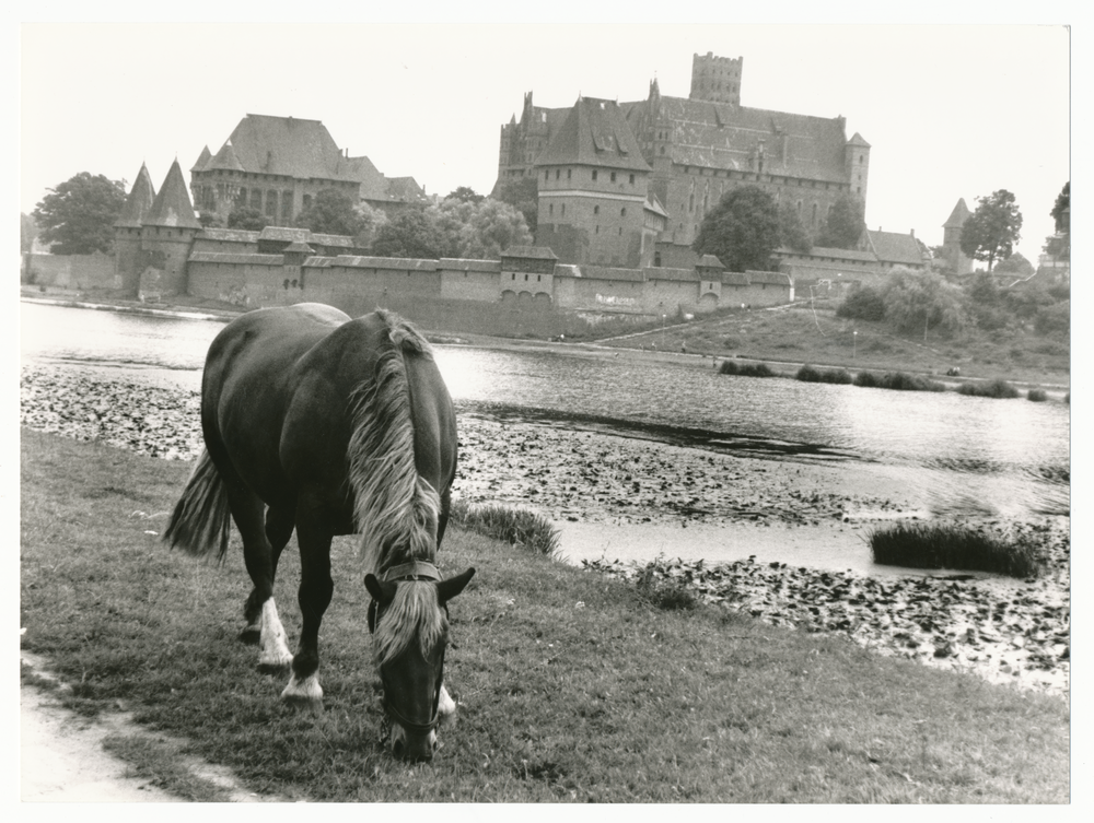 Marienburg i. Westpr., Die Marienburg von der Nogatseite