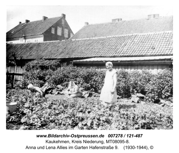 Kuckerneese. Gertrud, Anna und Lena Allies im Garten Hafenstraße 9