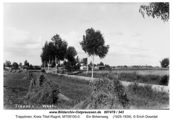 Trappen, Ein Birkenweg