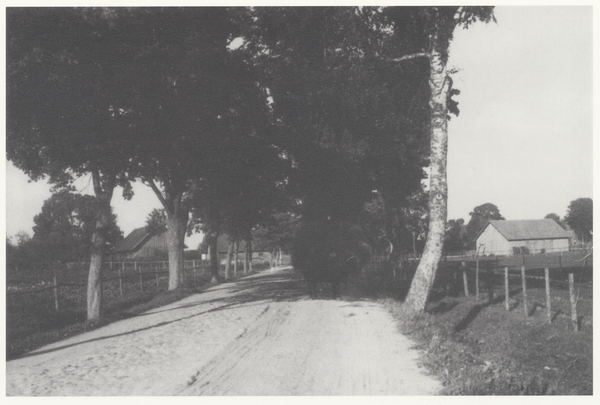 Trappen, Straße in Richtung Waldheide, im Hintergrund die Oberförsterei