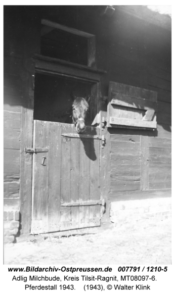 Adlig Milchbude, Pferdestall 1943