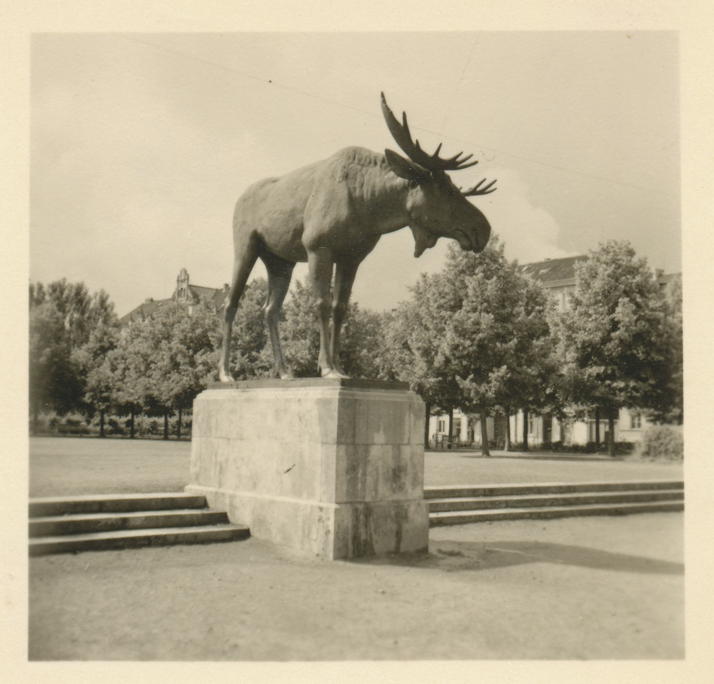 Tilsit, Das Elchdenkmal auf dem Anger