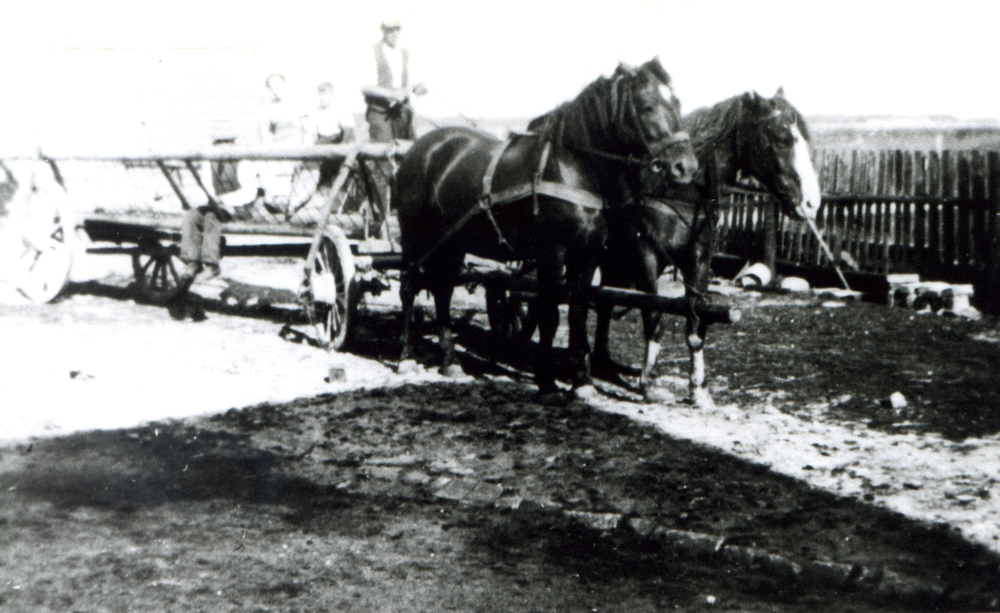 Weißenstein, Hof von Familie Glinka, August mit den Kindern Otto und Hedwig auf dem Leiterwagen auf dem Hof