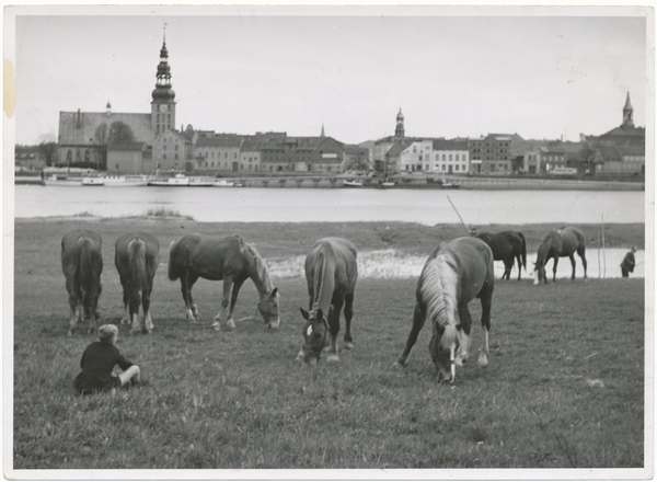 Tilsit, Blick vom Memelufer auf die Stadt mit Deutschordenskirche