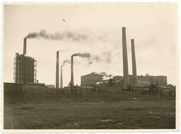 Tilsit, Zellstoff-Fabrik Waldhof