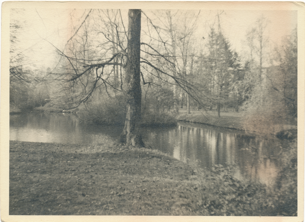Tilsit, Im Park Jakobsruh