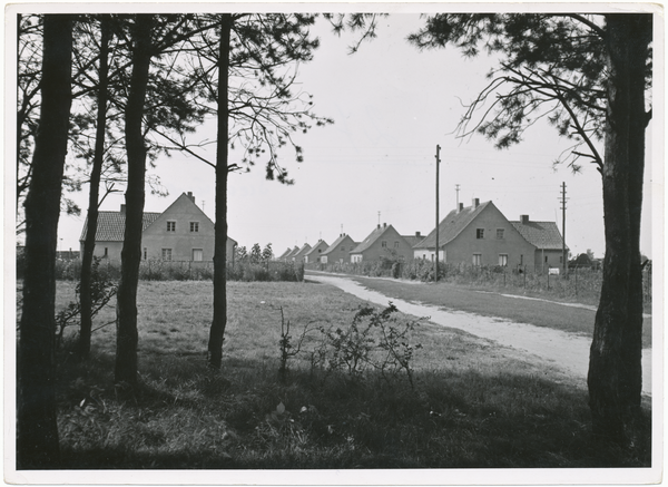 Tilsit, Stadt, Siedlung am Rennplatz