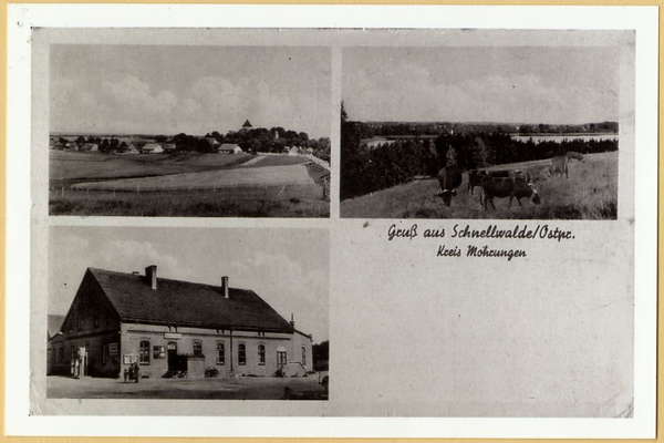 Schnellwalde, Ortsansicht, Vieherde am See, Gasthaus