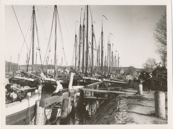 Tolkemit, Fischerboote im Hafen zur Osterzeit, Mastenwald