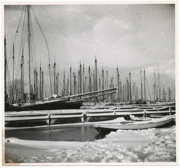 Tolkemit, Fischerboote im winterlichen Hafen, Mastenwald