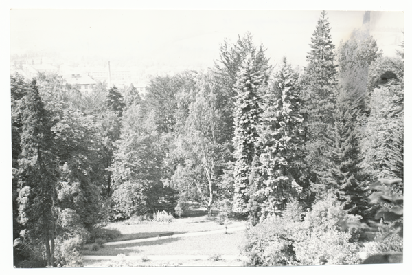 Trautenau Kr. Heilsberg, Blick auf einen Ort und Landschaft bei Trautenau