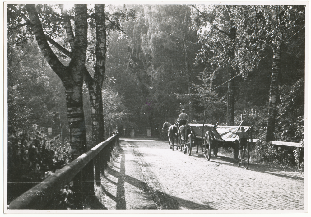 Groß Trakehnen, Pferdefuhrwerk am Schlosspark