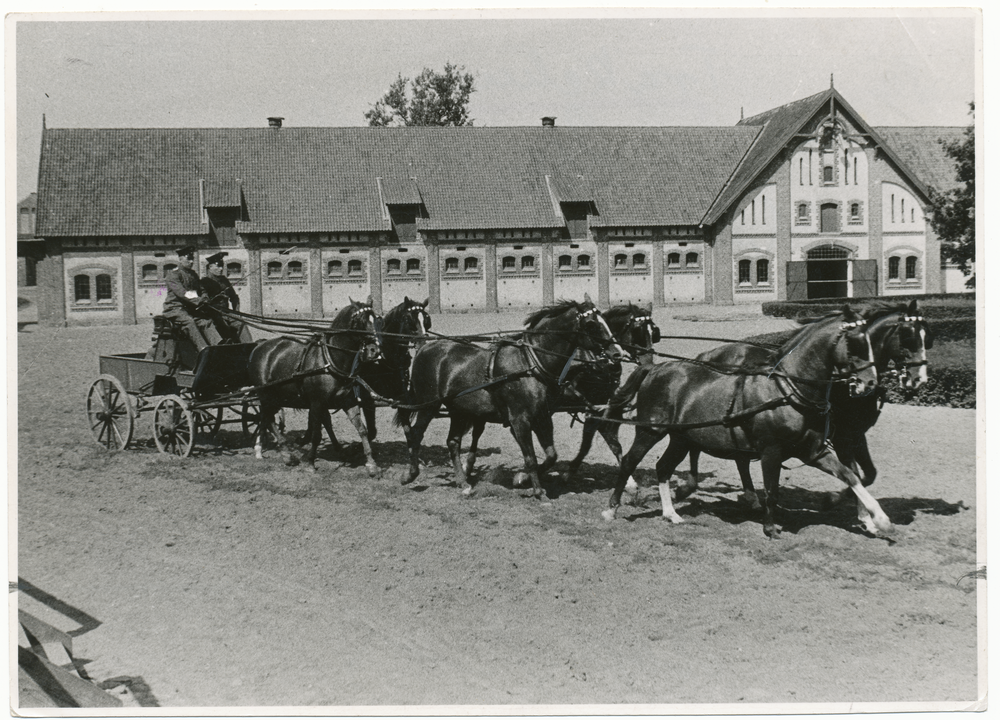 Georgenburg, Gestüt, Sechsergespann