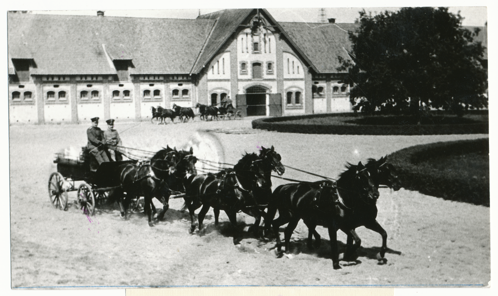 Georgenburg, Gestüt, Sechsergespann