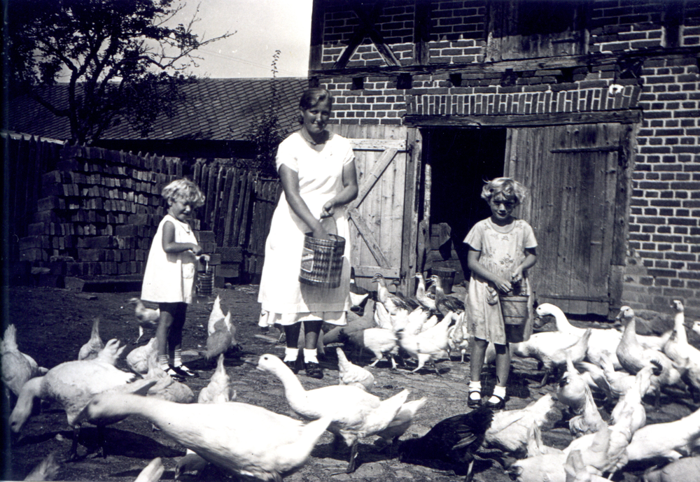 Fuchsberg Kr. Samland, Gem. Fuchsberg, Hühner füttern bei Familie Borchert, von links, Tochter Doris, Mutter, Tochter Brigitte