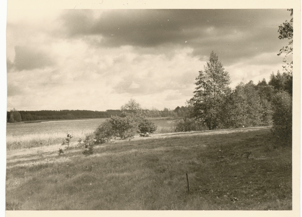 Widminnen, Partie am See