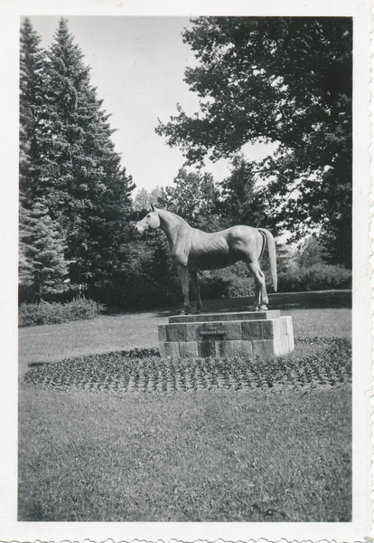 Groß Trakehnen, Denkmal des Beschälers "Tempelhüter"