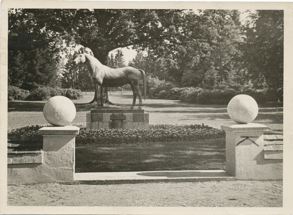 Groß Trakehnen, Denkmal des Beschälers "Tempelhüter"